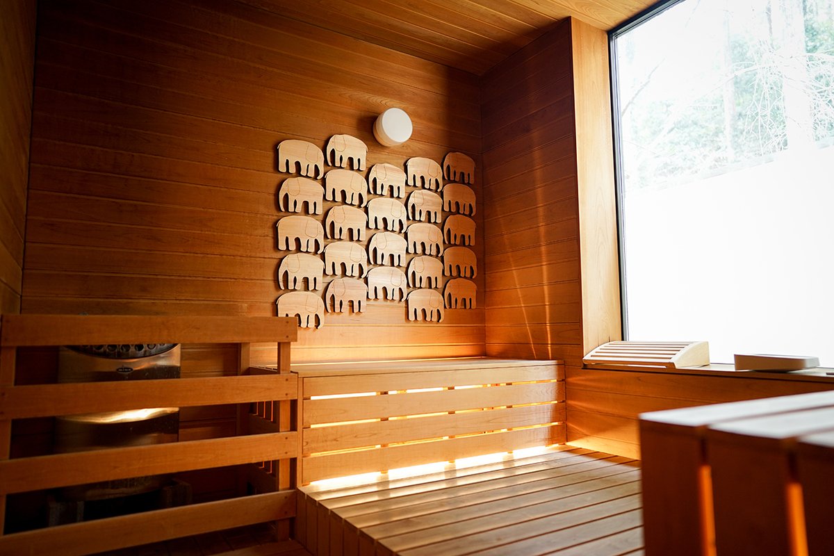 STAY WITH SAUNA!!