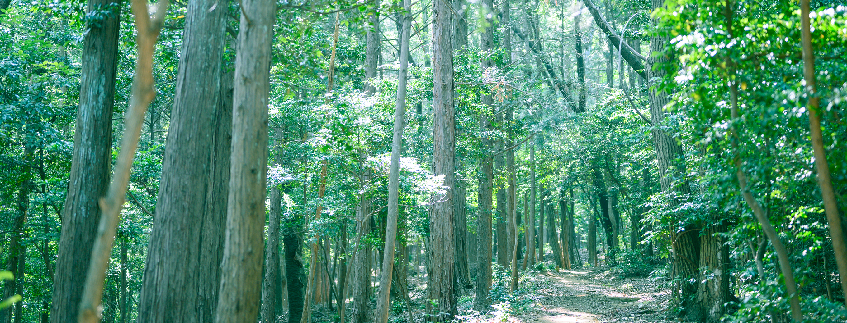 TRAINING CAMP LOCATION SHOOTING